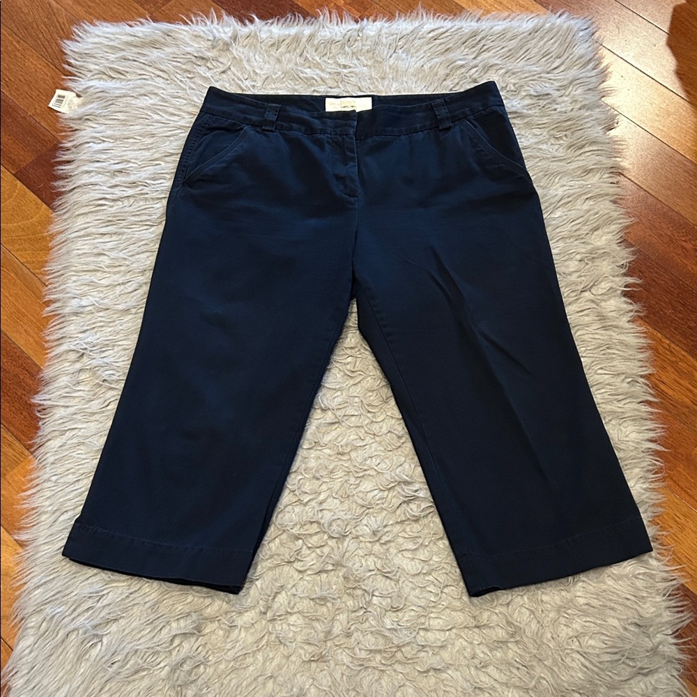 J. Crew Classic Twill Chino Favorite Fit‎ Women’s Navy Blue Cropped Cotton Pants